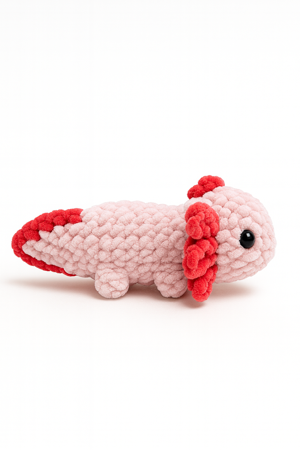 Axolotl